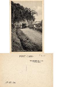 Collection by Subject "Antique and classic cars--Trinidad and Tobago